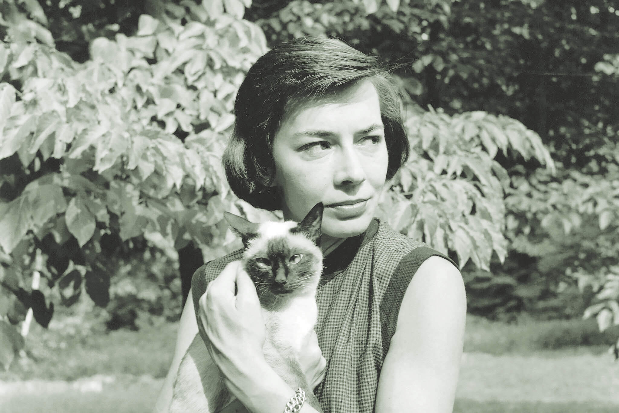 Patricia Highsmith: Trendeki Yabancılar